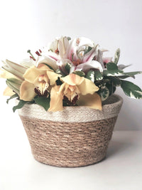 Thumbnail for Savar Plant Bowl (Set of 3)