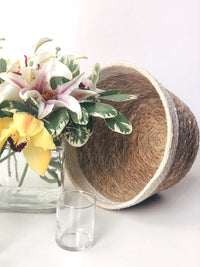 Thumbnail for Savar Plant Bowl (Set of 3)
