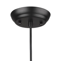 Thumbnail for Matte Black Cork Shade Modern One Light Hanging Pendent Lamp