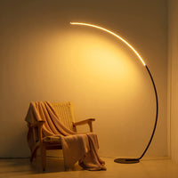 Thumbnail for RGBW Modern Curved Floor Lamp