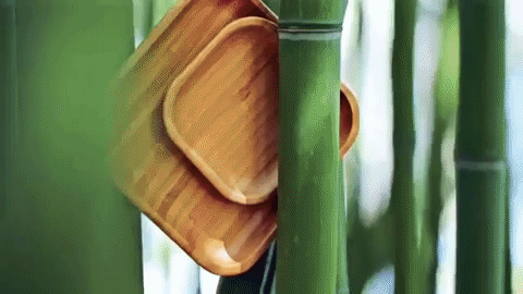 Bamboo Square Plate For Appetizers