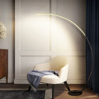 Thumbnail for RGBW Modern Curved Floor Lamp