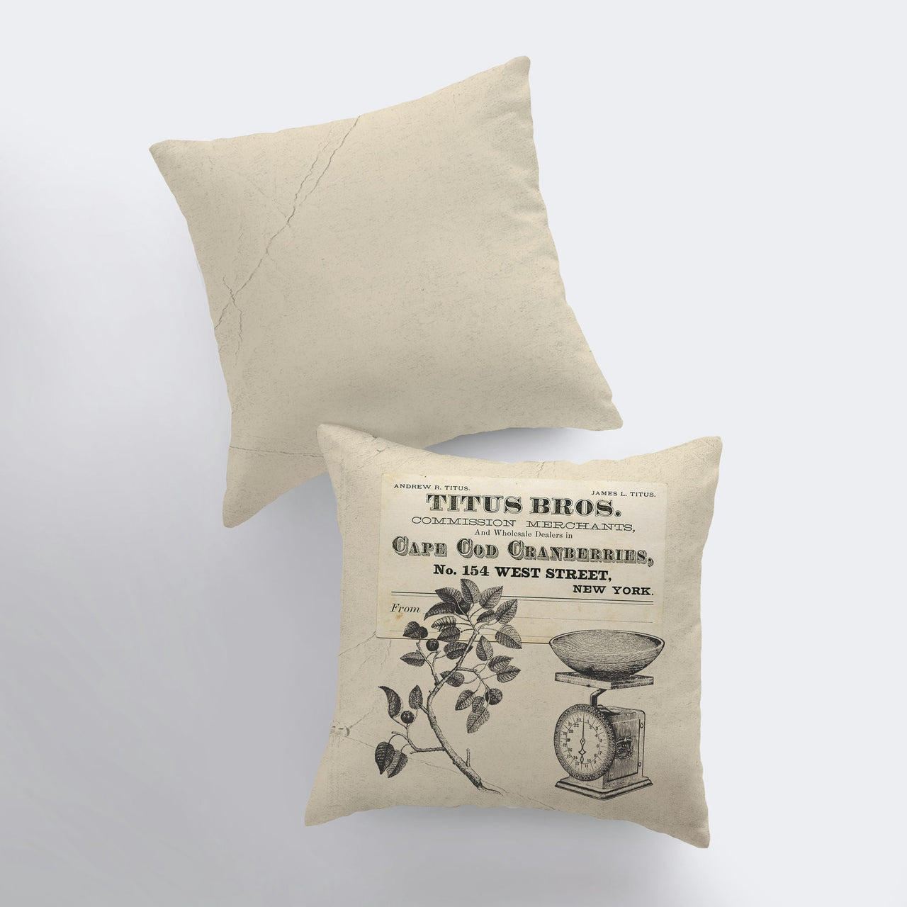 Cape Cod Pillow Cover | Vintage