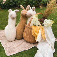 Thumbnail for Kids' Decorative Pillows