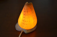 Thumbnail for Spotted Orange Cone Sea Shell Table Lamp