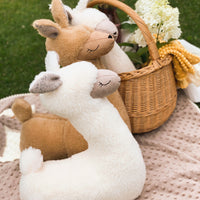 Thumbnail for Kids' Decorative Pillows