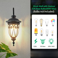 Thumbnail for Classic Outdoor Wall Lantern