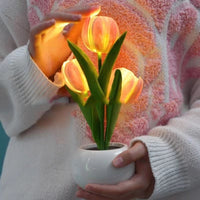 Thumbnail for Tulip Shaped Floral Table Lamp - Casatrail.com