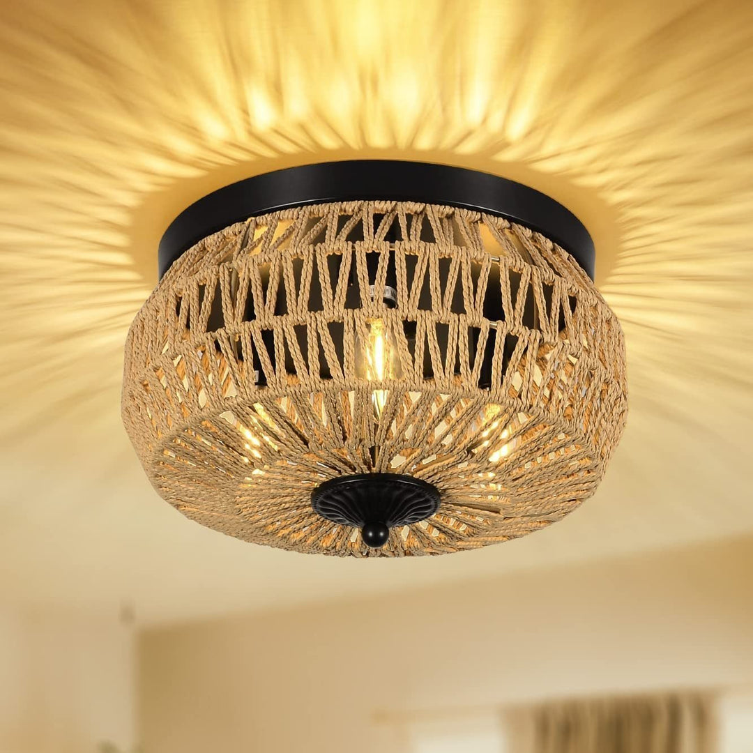 Ceiling Light
