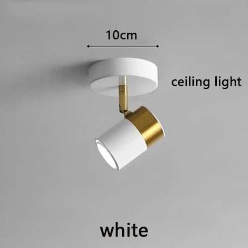 LED Track Ceiling Lamp with Adjustable Spotlight with Slide Rail