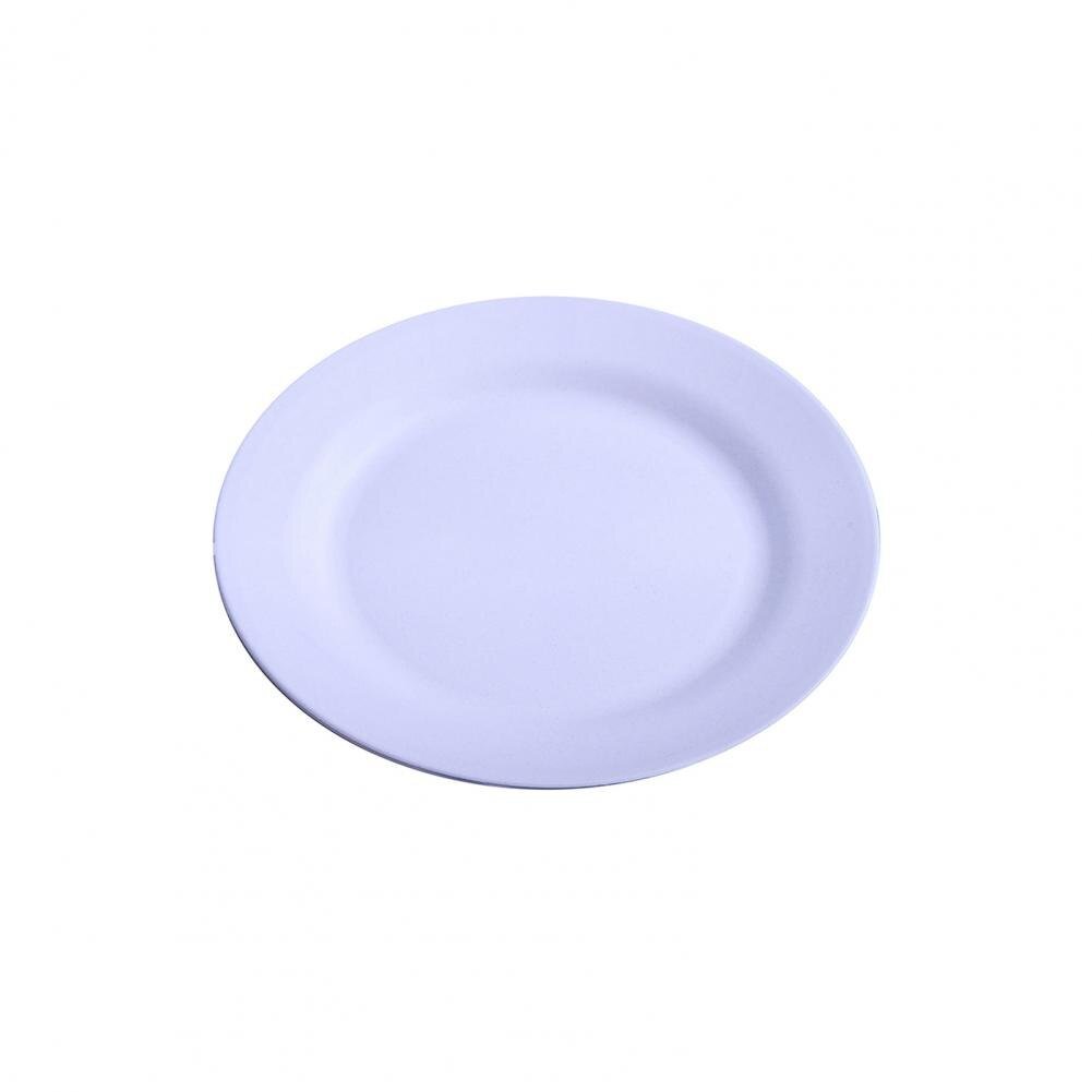 Attractive Reusable Dinner Plate - Casatrail.com