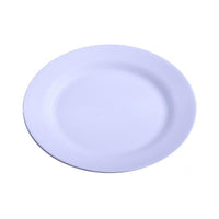 Thumbnail for Attractive Reusable Dinner Plate - Casatrail.com