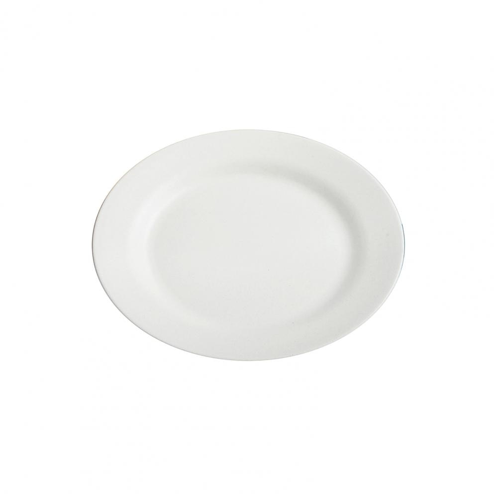 Attractive Reusable Dinner Plate - Casatrail.com