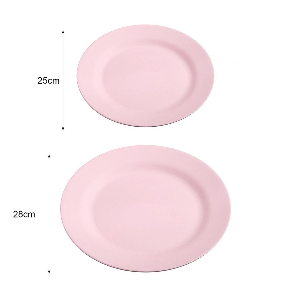 Attractive Reusable Dinner Plate - Casatrail.com