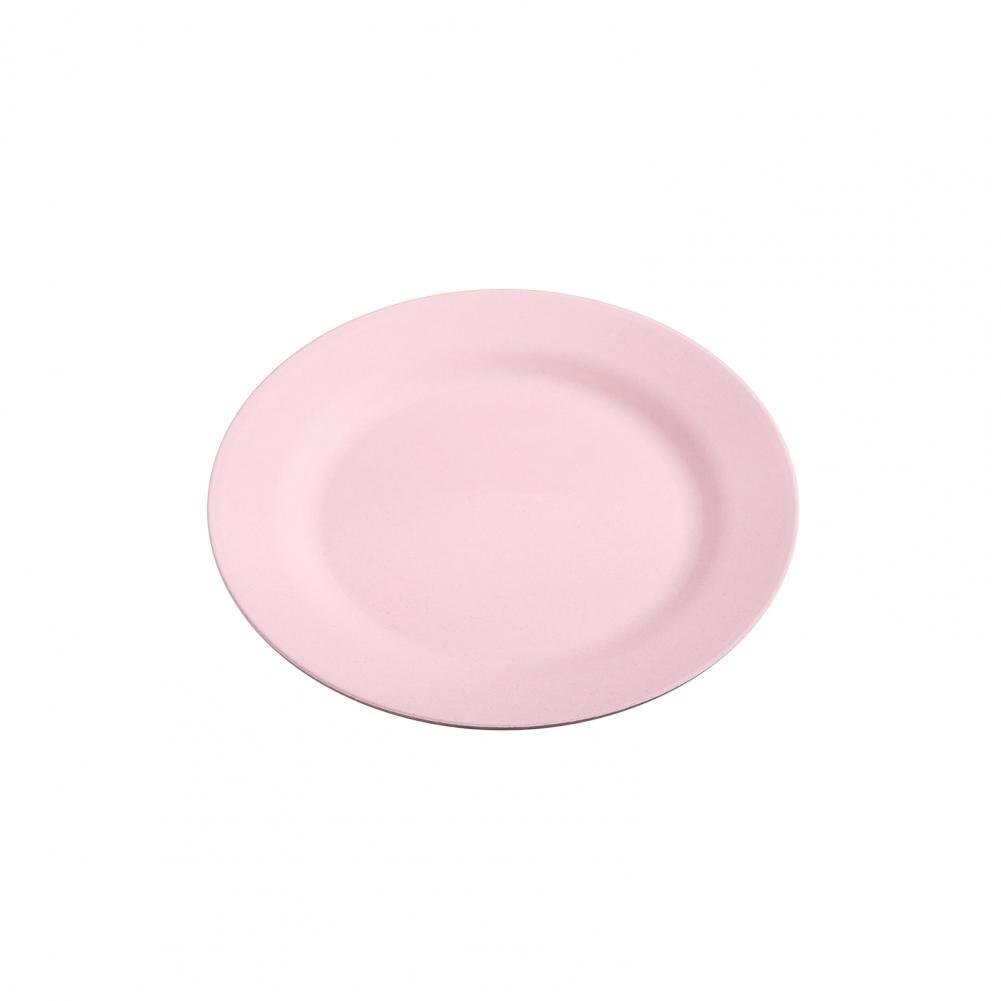 Attractive Reusable Dinner Plate - Casatrail.com