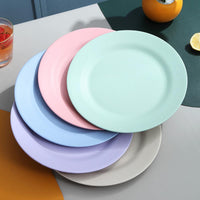 Thumbnail for Attractive Reusable Dinner Plate - Casatrail.com