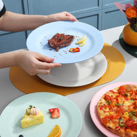 Thumbnail for Attractive Reusable Dinner Plate - Casatrail.com