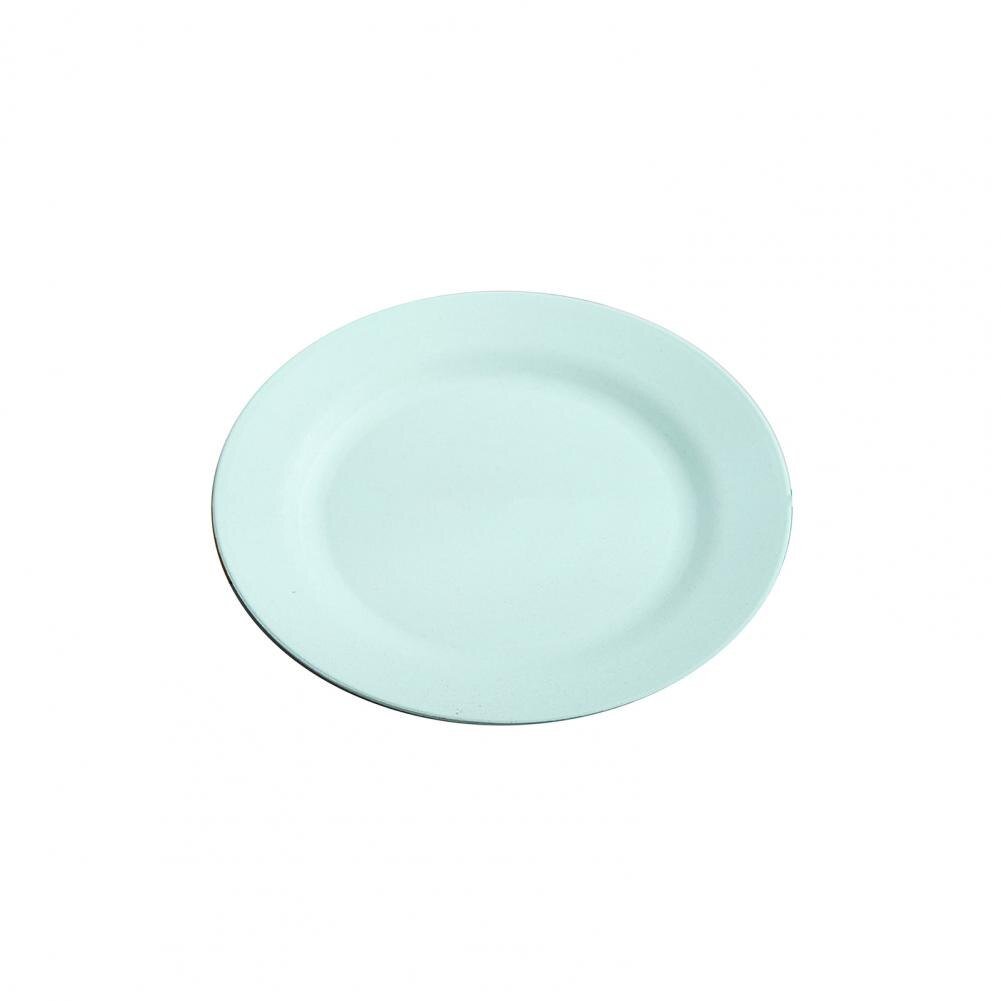 Attractive Reusable Dinner Plate - Casatrail.com