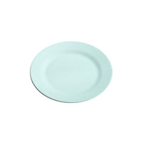 Thumbnail for Attractive Reusable Dinner Plate - Casatrail.com