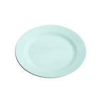 Thumbnail for Attractive Reusable Dinner Plate - Casatrail.com