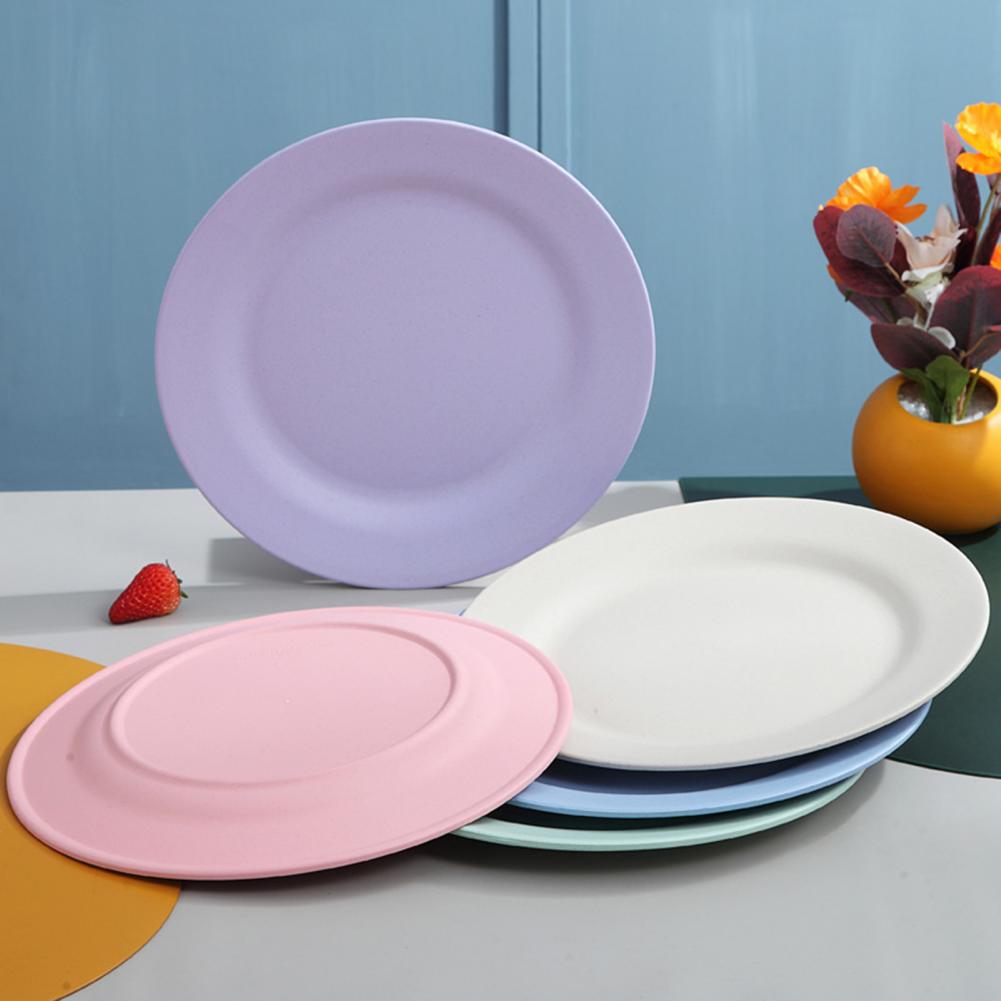 Attractive Reusable Dinner Plate - Casatrail.com