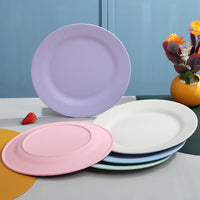 Thumbnail for Attractive Reusable Dinner Plate - Casatrail.com