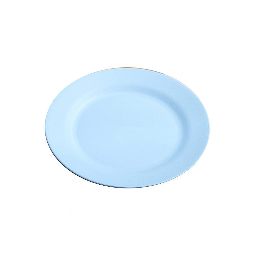 Attractive Reusable Dinner Plate - Casatrail.com