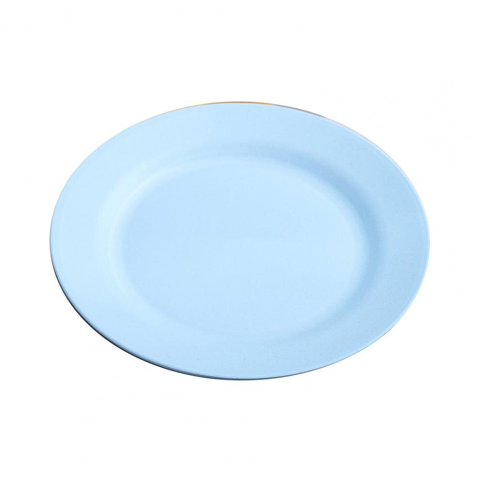 Attractive Reusable Dinner Plate - Casatrail.com