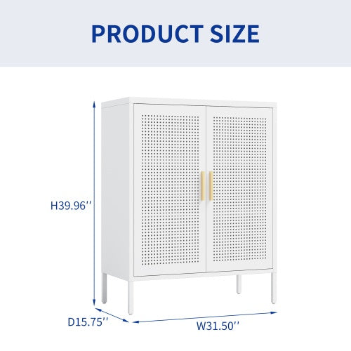 Metal Storage Cabinet With 2 Doors And 2 Adjustable Shelves