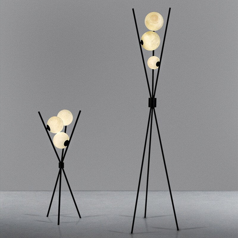 Black Floor Lamp and 3D Moon Lamp Shade - Casatrail.com