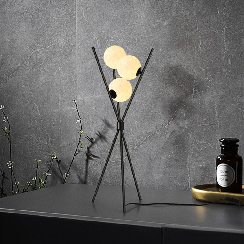 Black Floor Lamp and 3D Moon Lamp Shade - Casatrail.com