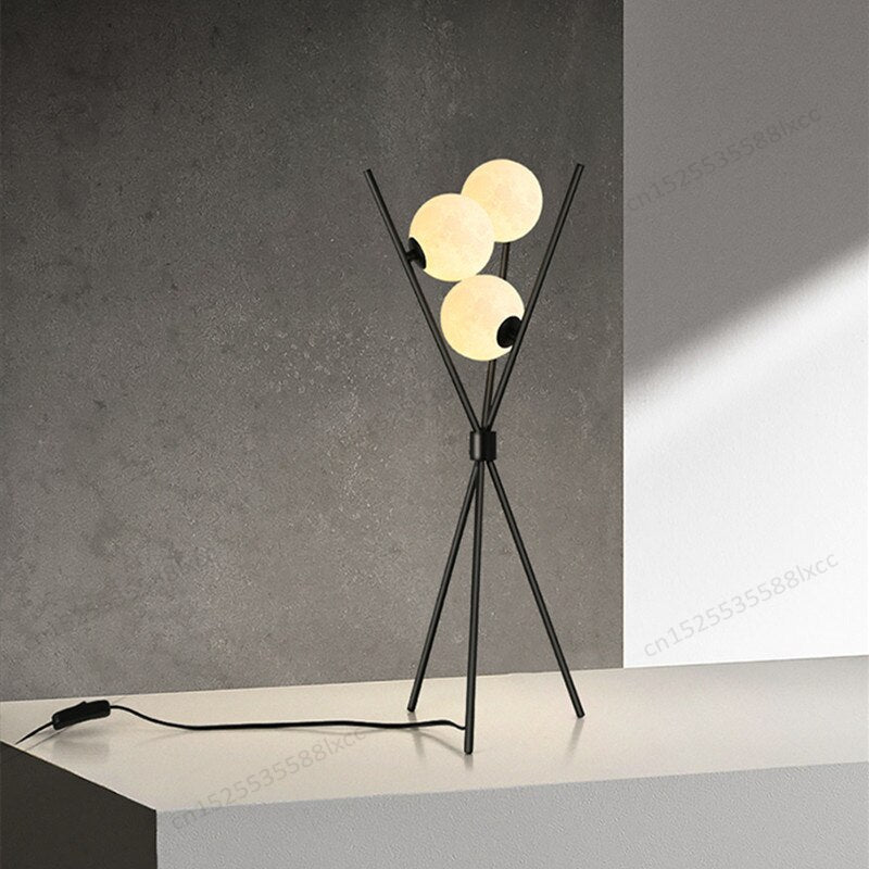 Black Floor Lamp and 3D Moon Lamp Shade - Casatrail.com