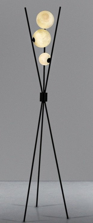 Black Floor Lamp and 3D Moon Lamp Shade - Casatrail.com