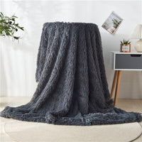 Thumbnail for Faux Fur Throw Blanket - Casatrail.com