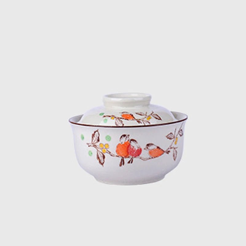 Japanese Ramen Bowl With Lid - Casatrail.com