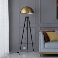 Thumbnail for LED Floor Lamps: Stylish Gold - Black Fixture - Casatrail.com