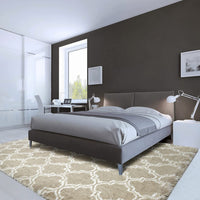 Thumbnail for Living Room Carpets Luxury Shag Area Rug Modern Indoor Plush Fluffy Rugs - Casatrail.com