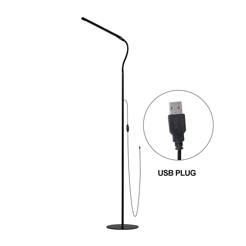 Modern LED Floor Lamp - Casatrail.com