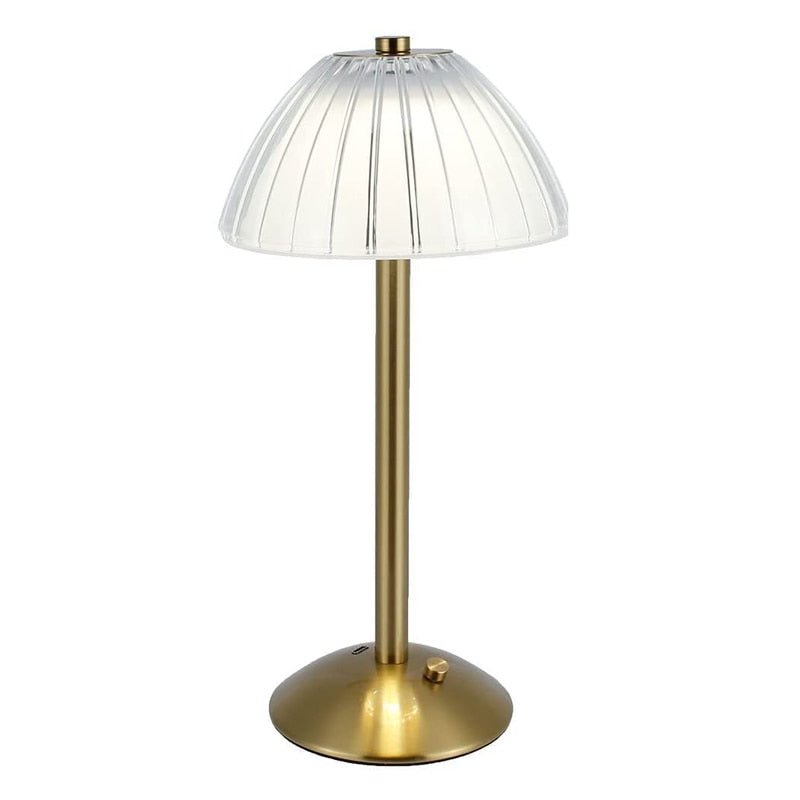 Rechargeable Table Lamp With LED Light - Casatrail.com