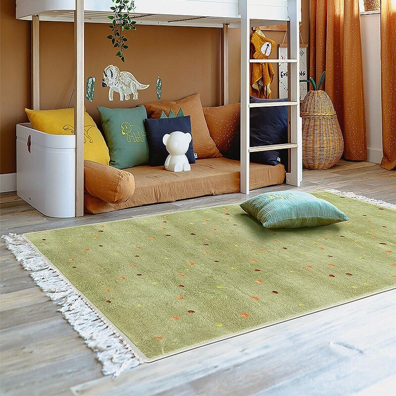 Tassel Carpets for Living Room - Casatrail.com