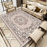 Thumbnail for Traditional Living Room Rug - Casatrail.com