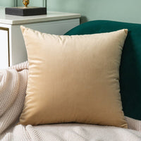 Thumbnail for Velvet Cushion Cover - Casatrail.com