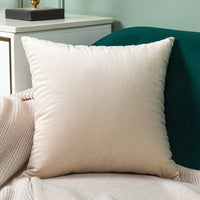 Thumbnail for Velvet Cushion Cover - Casatrail.com