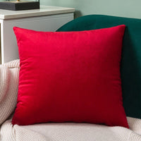 Thumbnail for Velvet Cushion Cover - Casatrail.com