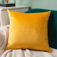 Thumbnail for Velvet Cushion Cover - Casatrail.com