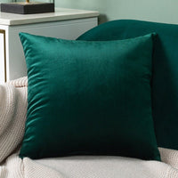 Thumbnail for Velvet Cushion Cover - Casatrail.com