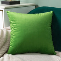 Thumbnail for Velvet Cushion Cover - Casatrail.com